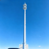 Tour monopode de télécommunication personnalisée en acier galvanisé Q235B pour antenne de signalisation résidentielle