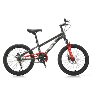 Fourche avant personnalisable à absorption des chocs pour <span class=keywords><strong>VTT</strong></span> enfant (garçon/fille) à vitesse unique en acier haute teneur en carbone pour la conduite en extérieur - Product Image 4