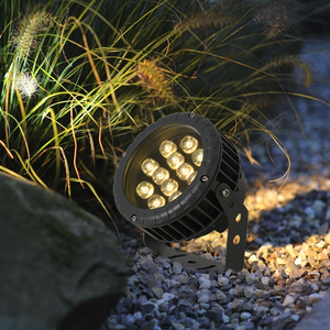 Projecteur LED 6000K Lumière du jour IP66 Corps en aluminium Haute luminosité CRI80 Contrôle par capteur de lumière Éclairage large à montage en surface - Product Image 2
