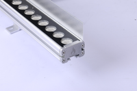 Projecteur mural LED RGBW 24W avec indice de protection IP67 pour une utilisation extérieure dans le paysage