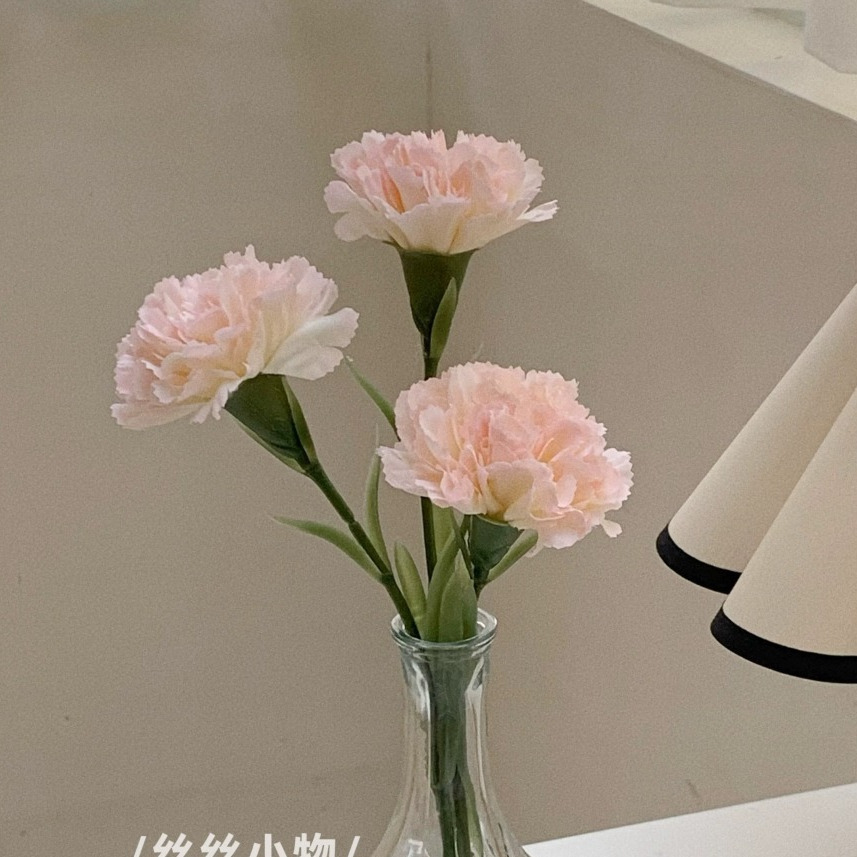 3 œillets rose clair