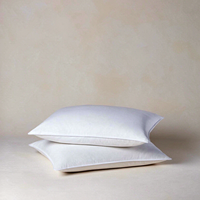 Oreiller Queen Size 20x30 pouces en duvet et plumes de canard de qualité supérieure, soutien doux, vente en gros OEM