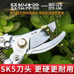 Qiyao <b>Pruning</b> Shears 10 Inches Carbon Steel Blade 5-20mm Trimming Diameter For Fruit <b>Trees</b> Gardening Floral Arrangements - Product Image 3