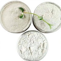 Fabricants proposent diverses spécifications de poudre de mica muscovite phlogopite pour application de revêtement – Bienvenue pour les commandes