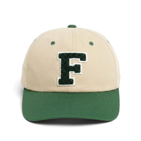 Casquette de baseball verte de haute qualité à 6 panneaux, style hip-hop, avec logo brodé 3D personnalisé, visière incurvée bicolore, chapeau de sport