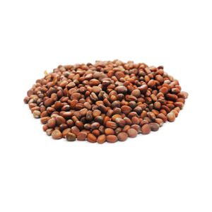 <span class=keywords><strong>Semi</strong></span> di Ravanello con Fragranza Piacevole e Delicata per Cucina Cinese e Tè Salutare, Fornitura Diretta dalla Fabbrica - Product Image 3
