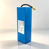 LiNiCoMn Vollständig Sicherheitsgeschütztes BMS E-Fahrrad-Akku Tragbarer Wiederaufladbarer Effizienter Stabiler Lithium-Ionen-Akkupack 48V 12Ah