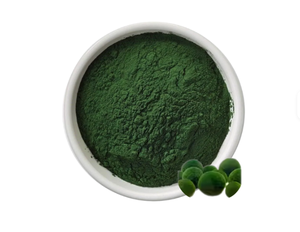 Cấp thực phẩm Chlorella & Aloe Vera chiết xuất bột <span class=keywords><strong>1000</strong></span> lưới cao protein nước chiết xuất cho Baking rắn đồ uống trong chai - Product Image 2