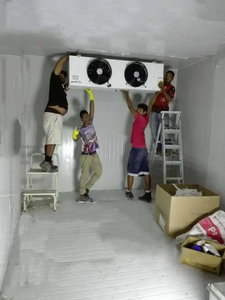 FR-CR03B 30CBM <span class=keywords><strong>Camion</strong></span> Industriale Verdura Frutta Congelatore Stanza Fredda <span class=keywords><strong>con</strong></span> Condensatore - Product Image 3