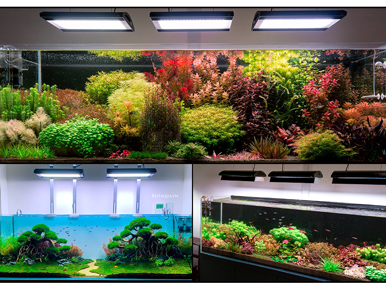 WEEK AQUA A430 Pro 120W RGB UV LED Aquarium Light - Enhance