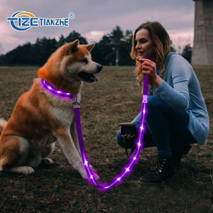 Yeni varış Light Up köpek tasma Led aydınlatma Led köpek naylon <span class=keywords><strong>Pet</strong></span> şarj edilebilir Led köpek tasma Led - Product Image 5