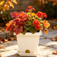 Grandes jardinières carrées en PP avec trou de drainage, bac à légumes pour balcon, cour, décoration, pots de fleurs