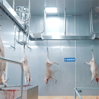 Ligne d'abattage rituel des moutons et ligne de transformation, projet d'abattoir de moutons de bout en bout, équipement d'abattoir, outils d'abattage