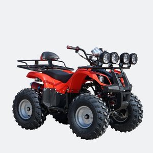 AUTO Cross Border - <span class=keywords><strong>Cuatrimoto</strong></span> de 250 CC, Vehículo Todoterreno de 4 Ruedas, 4x4, Automática, Estilo Bull, Motocicleta Todoterreno - Product Image 5