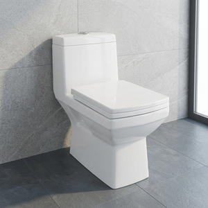 WC monobloc en céramique indienne Morbi, à chasse d'eau double siphonique, à sortie au sol, blanc - Product Image 4