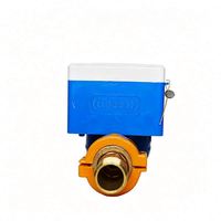 Medidores de Agua Caliente Prepago con Pantalla LCD Digital Inteligente, Tarjeta IC, Clase B, DN25 DN50, con Software, IP68, Venta al Por Mayor OEM