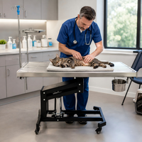 Table d'opération vétérinaire XY ACS01 pour la chirurgie des petits animaux avec surface chauffante à levage électrique et cadre en X stable