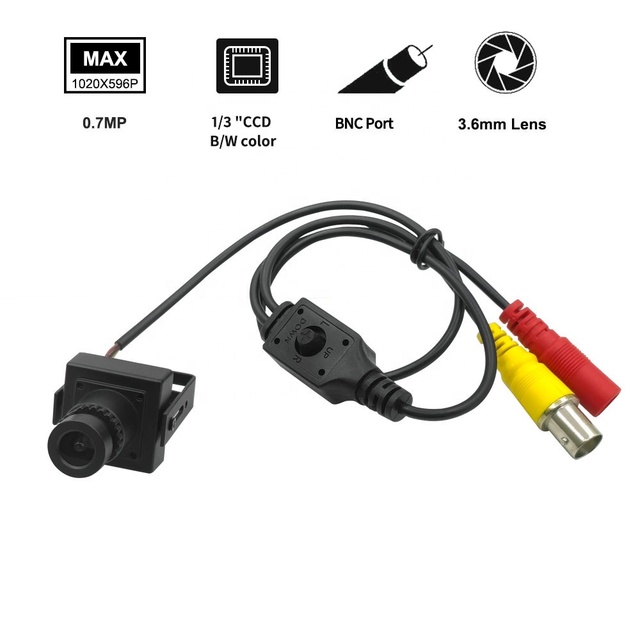 25*25mm 700tvl Pure Black and White Industrial Security Camera Mini CCD B/W Camera Sony 2463+405AL Black White Image