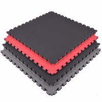 Tapete de Ejercicio EVA para Entrenamiento en Grupo, Instalación sin Pegamento, Suministro de Fábrica, Absorción de Impactos, Insonorizado, Antideslizante