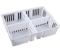 Cage de transport durable pour poulets, boîte de retournement en plastique pour poussins, caisse de livraison pour poules, filet de transport pour poulets de chair, panier de voyage pour coqs