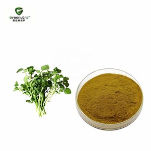 Extracto de Hinojo de Agua en Polvo, Extracto de <span class=keywords><strong>Nasturtium</strong></span> <span class=keywords><strong>Officinale</strong></span> 10:1, Extracto Natural de Plantas para Suplementos Dietéticos, Grado Alimenticio, a Granel - Product Image 3