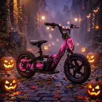 Nouveau modèle de mini-vélo électrique en acier pour enfants avec pédales ordinaires pour les enfants de 7 à 14 ans