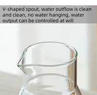 DAJI HYDRO Pichet en verre borosilicaté à haute teneur personnalisable Résistant à la chaleur Boissons chaudes/froides Théières Bouilloires Pot à eau pour l'eau