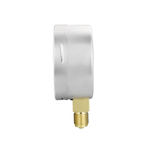 Manómetro de Diafragma de Acero Inoxidable Ye100, Material 304, Conexión Roscada para Medición de Gas - Product Image 1