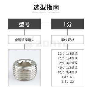 ปลอกปิดปลายท่อเกลียว G ชุบนิกเกิลทั้งหมด ทำจากเหล็ก พร้อมหกเหลี่ยมด้านใน สำหรับป้องกันข้อต่อฮาร์ดแวร์นิวเมติก - Product Image 2