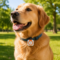 Traceur GPS intelligent étanche IP67 pour chien et chat AUMANN C08 OEM/ODM 4G Bluetooth ABS avec autonomie de plus de 20h et clôture électronique anti-perte
