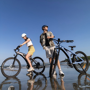 Bicicleta Eléctrica Onyx Electrica de Montaña con Motor Trasero de 48V, Híbrida Todoterreno Urbana para Adultos, Cuadro de Aleación de Aluminio, Impermeable - Product Image 2