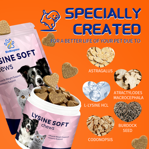 OEM suplemen gigitan lembut lisin anjing, lisin kemurnian tinggi + Vitamin C, kesehatan pernapasan, Label pribadi & pereda batuk kandang anjing - Product Image 2