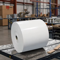 Fournisseur en gros de papier pour gobelets en rouleaux de qualité supérieure, papier blanc pour machine à fabriquer des gobelets, matériau brut, carton ivoire, carton duplex enduit de PE
