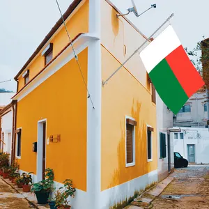Tissu polyester 3x5Ft Madagascar Flag Banner avec 3 plis double face et deux œillets en laiton Décoration murale d'extérieur
