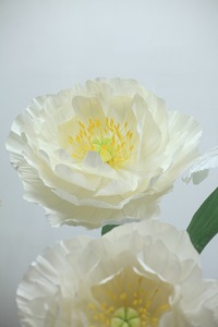Rétro, Pivoine, Grandes fleurs en papier, Iris, Blanc, Élégant, Noble - Product Image 2