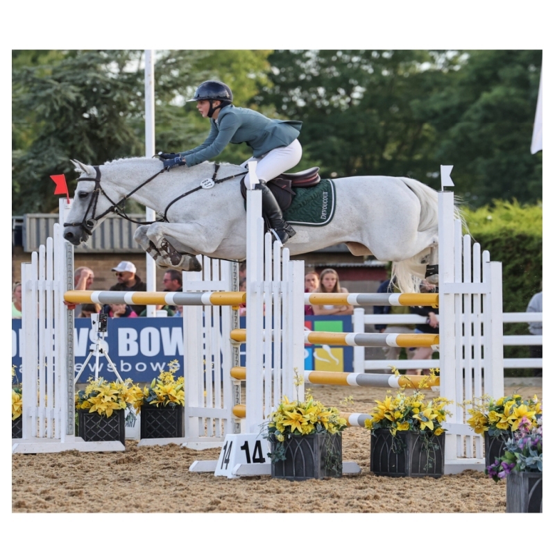 High Quality Equestrian Horse Jumping Equipment