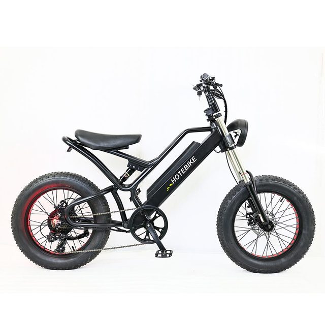 Hot Sale Electric Bicycle 7 Speed  Lithium Battery Bicycle E Bike