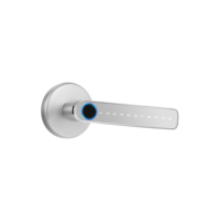 Serrure de porte électrique biométrique TTlock Tuya avec cylindre à clé C pour portes en bois avec poignée de porte Cloud Wi-Fi