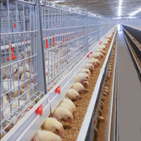 Cage à poulets de type H pour 90 à 200 poulets, cage à poulets galvanisée, équipement d'élevage avicole, cage à poulets automatique