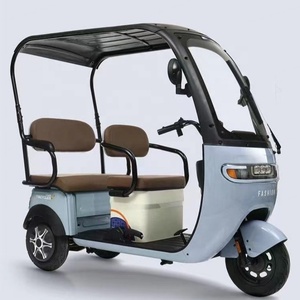 Tricycle Électrique Personnalisable 60V 800W, Scooter Passager-Transport, Rickshaw à 3 Roues avec Deux Cabines, Voiture Électrique - Product Image 6