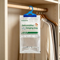 Sacs déshumidificateurs en gros d'usine avec logo personnalisé, boîtes absorbantes d'humidité anti-moisissure pour l'emballage de détail domestique