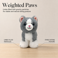 Jouets en peluche lestés, animaux doux unisexes en 100 % polyester, anti-stress, pour fête d'anniversaire