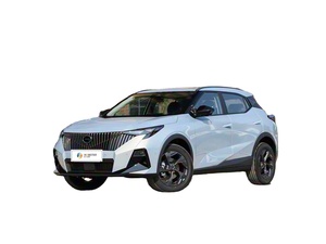 Chuanqi Gs3 2026 Full Option en vente - Product Image 1