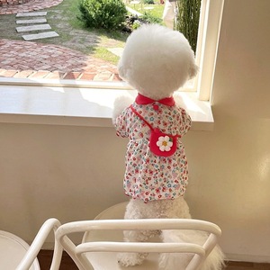 Robe de princesse classique en polyester imprimé pour petits chiens et chats (Teddy, Bichon, Pomeranian, <span class=keywords><strong>Yorkshire</strong></span>) – Éco-responsable, printemps-été - Product Image 2