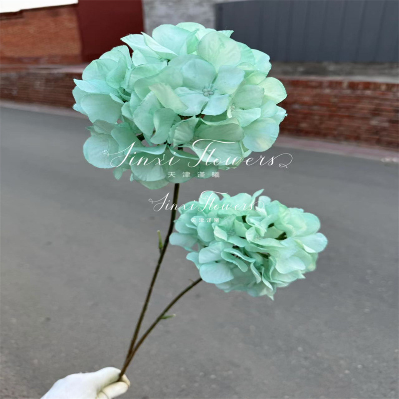 hortensia de dos cabezas