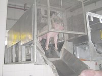 Équipement d'abattage professionnel avancé pour porcs, abatteuse automatique en acier inoxydable 304 avec pompe et moteur, haute productivité pour ferme et abattoir