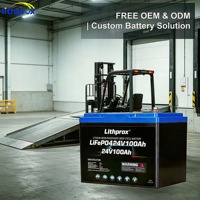 Batería de vehículo eléctrico industrial de 24V 100AH sin mantenimiento, celda LiFePO4 para carretillas elevadoras, CE FCC RoHS UN38.3 OEM ODM