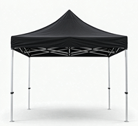 Tente de salon professionnelle robuste avec structure en acier, pavillon de marketing pour événements