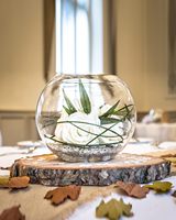 Lot de 8 tranches rondes en bois naturel de 8 à 9 pouces grandes tranches de bois non finies pour les mariages, la décoration de centres de table et les projets de bricolage
