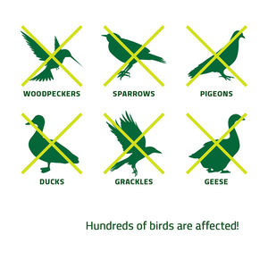 BONNY Piscina Pájaro Susto Gaviotas Palomas Cuervos Dispositivos de miedo de pájaros anti palomas - Product Image 6